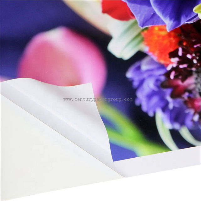 China White Eco Solvent Printing PVC Roll Printable Adhesive Vinyl Roll china-white-eco-solvent-printing-pvc-roll-printable-adhesive-vinyl-roll