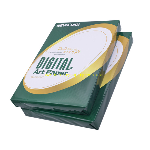 Nevia Digital Nevia Digital Coated Paper Matt 250gsm From China Manufacturer Century Paper 1906